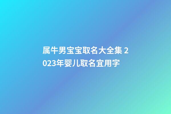 属牛男宝宝取名大全集 2023年婴儿取名宜用字